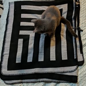 BNWT Black & Gray Poncho